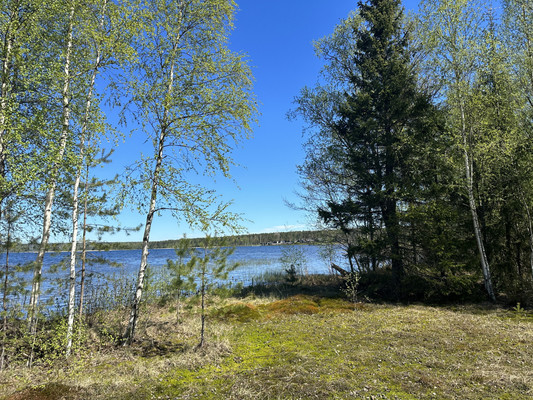 Продам дом, Цвелодубово п, 0 км от города