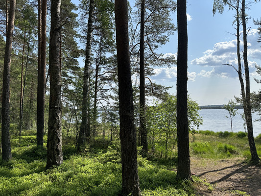 Продам дом, Цвелодубово п, 0 км от города