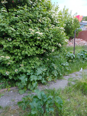 Продам дом, Профсоюзная ул, 139ка, Ростов-на-Дону г, 0 км от города