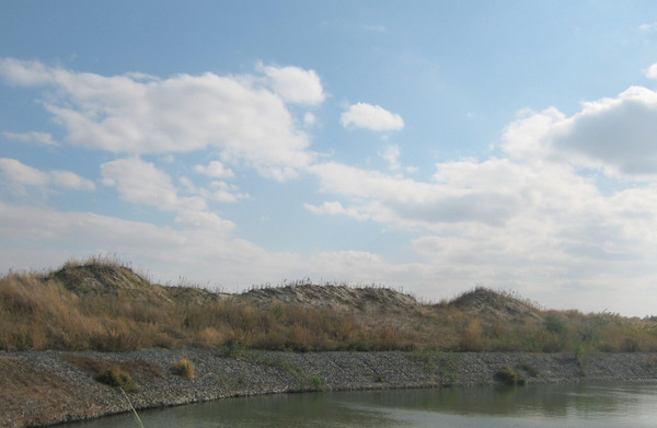 Продам участок 83,76 соток, ИЖС, Спортивная ул, 10, Старочеркасская ст-ца, 0 км от города