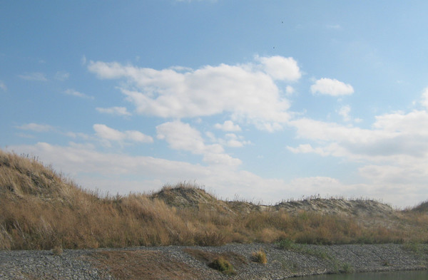 Продам участок 83,76 соток, ИЖС, Спортивная ул, 10, Старочеркасская ст-ца, 0 км от города