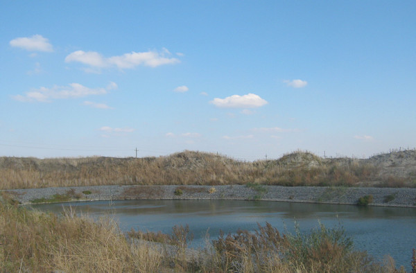 Продам участок 83,76 соток, ИЖС, Спортивная ул, 10, Старочеркасская ст-ца, 0 км от города