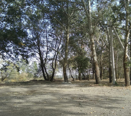 Продам участок 83,76 соток, ИЖС, Спортивная ул, 10, Старочеркасская ст-ца, 0 км от города