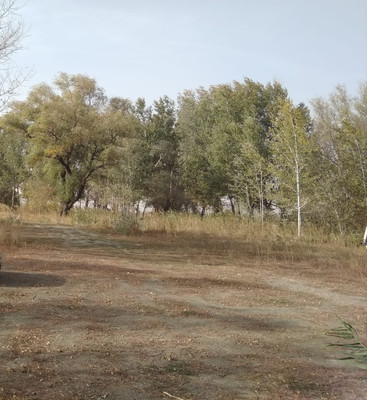 Продам участок 83,76 соток, ИЖС, Спортивная ул, 10, Старочеркасская ст-ца, 0 км от города