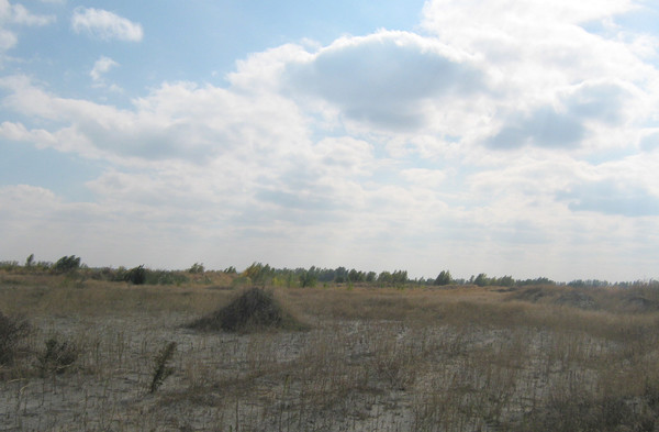 Продам участок 83,76 соток, ИЖС, Спортивная ул, 10, Старочеркасская ст-ца, 0 км от города