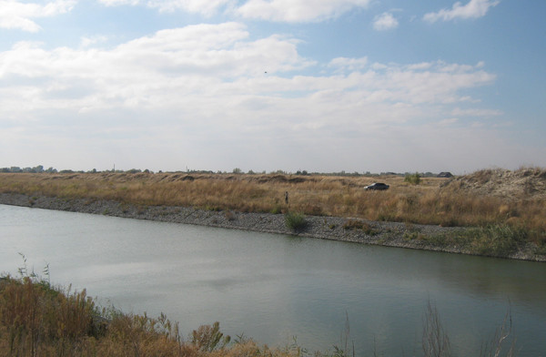 Продам участок 83,76 соток, ИЖС, Спортивная ул, 10, Старочеркасская ст-ца, 0 км от города