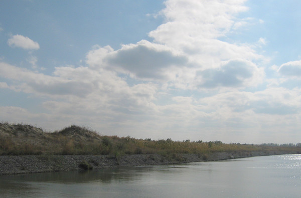 Продам участок 83,76 соток, ИЖС, Спортивная ул, 10, Старочеркасская ст-ца, 0 км от города