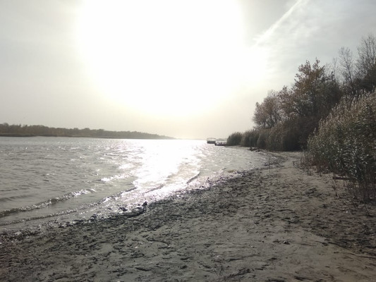 Продам участок 83,76 соток, ИЖС, Спортивная ул, 10, Старочеркасская ст-ца, 0 км от города