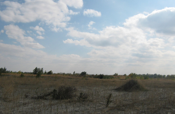 Продам участок 83,76 соток, ИЖС, Спортивная ул, 10, Старочеркасская ст-ца, 0 км от города