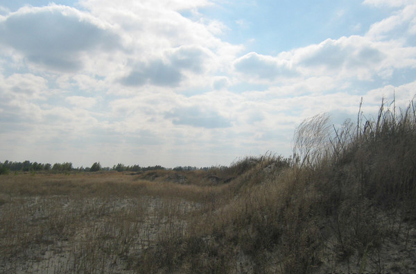 Продам участок 83,76 соток, ИЖС, Спортивная ул, 10, Старочеркасская ст-ца, 0 км от города