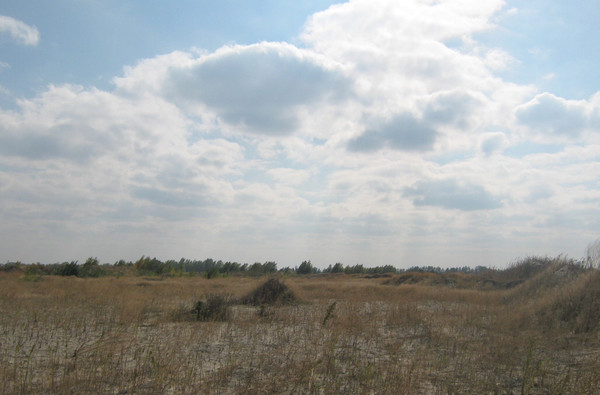 Продам участок 83,76 соток, ИЖС, Спортивная ул, 10, Старочеркасская ст-ца, 0 км от города