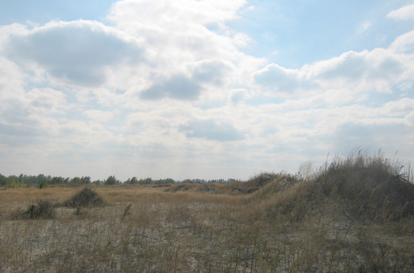 Продам участок 83,76 соток, ИЖС, Спортивная ул, 10, Старочеркасская ст-ца, 0 км от города