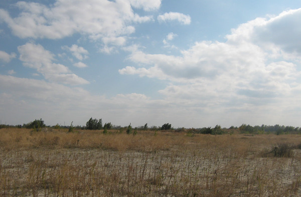 Продам участок 83,76 соток, ИЖС, Спортивная ул, 10, Старочеркасская ст-ца, 0 км от города