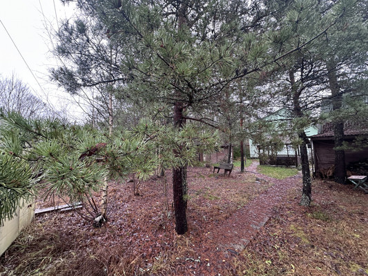 Продам дом, Бор п, 0 км от города