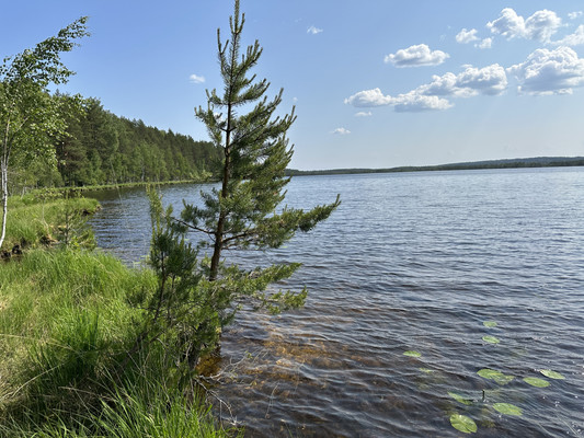 Продам дом, Бор п, 0 км от города