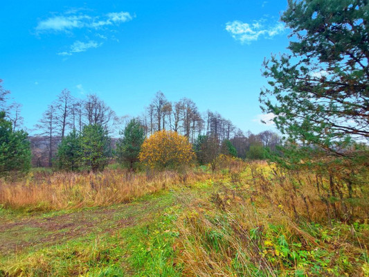 Продам участок 40 соток, ИЖС, Климовка д, 0 км от города