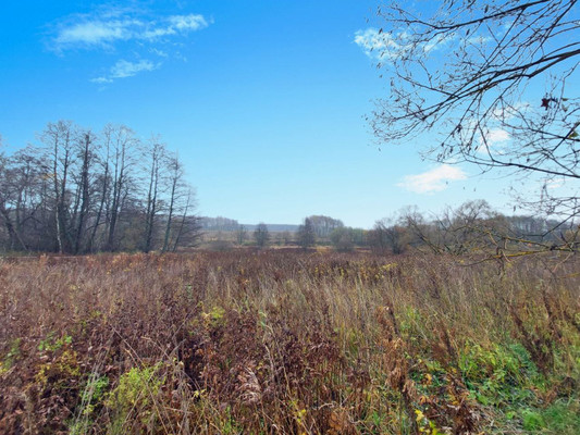 Продам участок 40 соток, ИЖС, Климовка д, 0 км от города