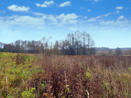 Продам участок 40 соток, ИЖС, Климовка д, 0 км от города