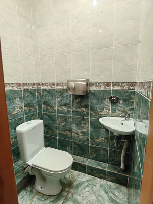 Продам ресторан 401,3 м2, Весенняя ул, 59, Вязищи д