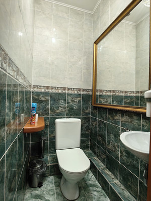 Продам ресторан 401,3 м2, Весенняя ул, 59, Вязищи д