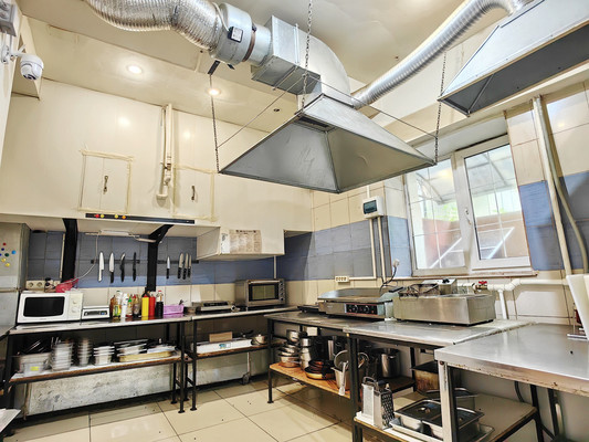 Продам ресторан 401,3 м2, Весенняя ул, 59, Вязищи д