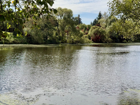 Продам участок 8,5 соток, ИЖС, Троицкая ул, Ширяево д, 0 км от города