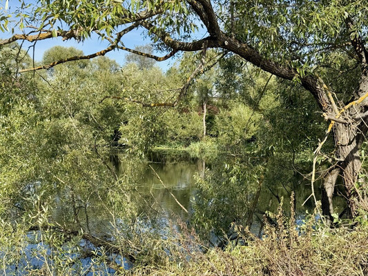 Продам участок 8,5 соток, ИЖС, Троицкая ул, Ширяево д, 0 км от города