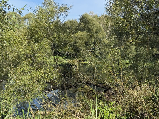 Продам участок 8,5 соток, ИЖС, Троицкая ул, Ширяево д, 0 км от города