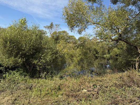 Продам участок 8,5 соток, ИЖС, Троицкая ул, Ширяево д, 0 км от города