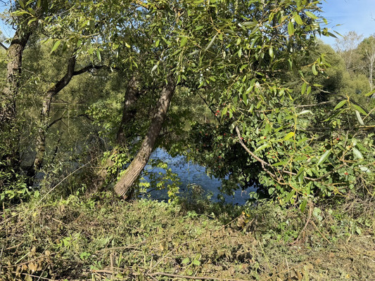 Продам участок 8,5 соток, ИЖС, Троицкая ул, Ширяево д, 0 км от города