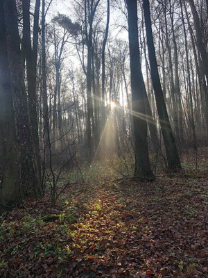 Продам землю для коммерческого использования 6,74 соток, ИЖС, Новая ул, Октябрьский рп