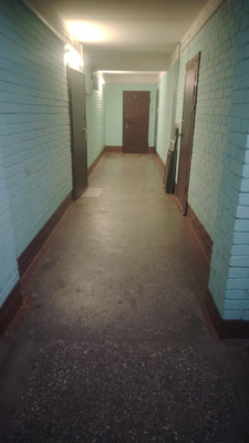 Продам двухкомнатную (2-комн.) квартиру, Космонавтов пр-кт, 76, Санкт-Петербург г