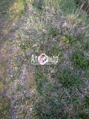 Продам участок 20 соток, ЛПХ, Путилово с, 70 км от города