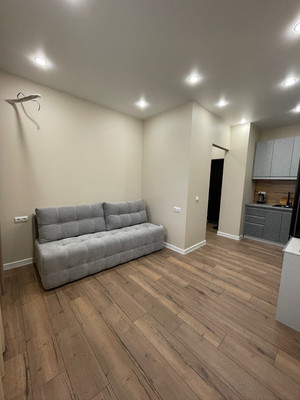 Сдам однокомнатную (1-комн.) квартиру, Западный Обход ул, 57, Краснодар г