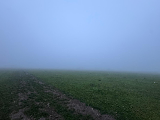 Продам участок 10 соток, ИЖС, ККРС мкр, Шалушка с, 0 км от города