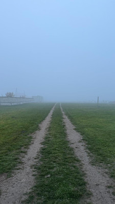 Продам участок 10 соток, ИЖС, ККРС мкр, Шалушка с, 0 км от города