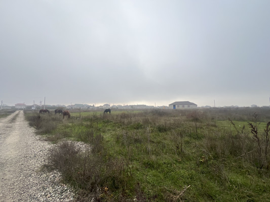 Продам участок 10 соток, ИЖС, Мира ул, Шалушка с, 0 км от города