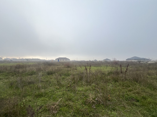 Продам участок 10 соток, ИЖС, Мира ул, Шалушка с, 0 км от города