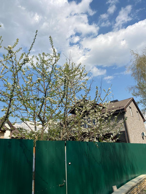 Продам дом, Южная ул, 54б, Сельцо с, 0 км от города