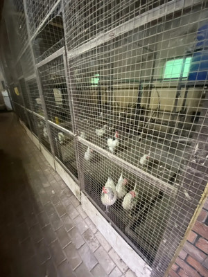 Продам коттедж, Южная ул, 84ка, Яхрома г, 0 км от города