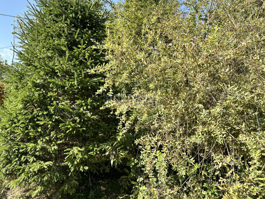 Продам дом, Мира ул, Северская ст-ца, 0 км от города