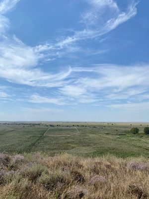 Продам землю для коммерческого использования 100 соток, Фермерское хоз., Благовещенская ст-ца