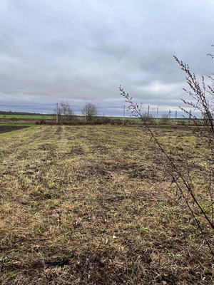 Продам дом, 19, Агнищево д, 0 км от города