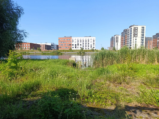 Продам склад 5 522,6 м2, Яблочная ул, 44, Калининград г