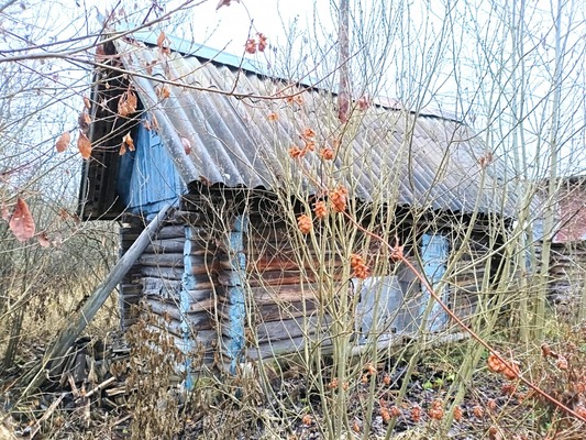 Продам дом, Риф тер. СНТ, Пупышево массив, 0 км от города