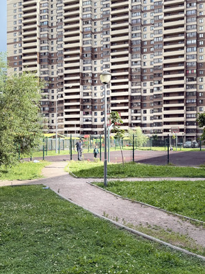 Продам однокомнатную (1-комн.) квартиру, Русановская ул, 16к3, Санкт-Петербург г