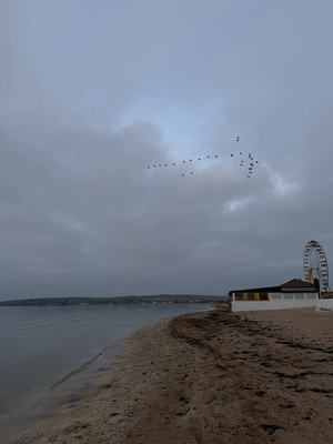 Продам участок 4,63 соток, Фермерское хоз., Горная ул, Щелкино г, 0 км от города