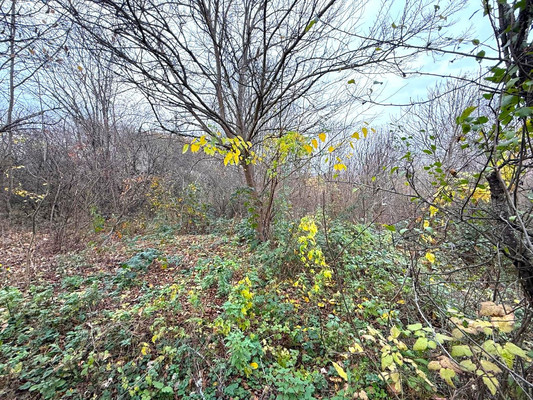 Продам дом, Советская ул, 48, Нефтегорск пгт, 0 км от города