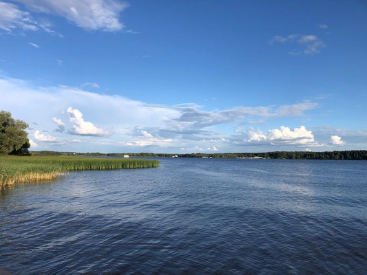 Продам участок 9 соток, ИЖС, Протасово д, 0 км от города