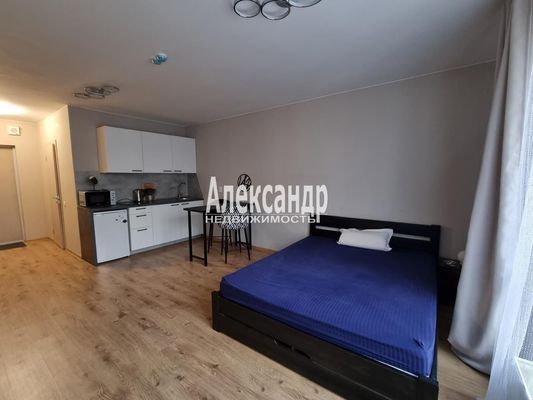 Сдам однокомнатную (1-комн.) квартиру, Авиаторов Балтики пр-кт, 29к2, Мурино п